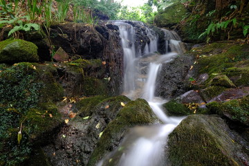 Obraz premium waterfall in forest