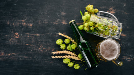 Beer and fresh hops on a black wooden background. Free space for text. Top view.