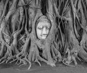 Stone Buddha head embedded in the tree roots at Wat Mahathat temple, Ayutthaya, Thailand
