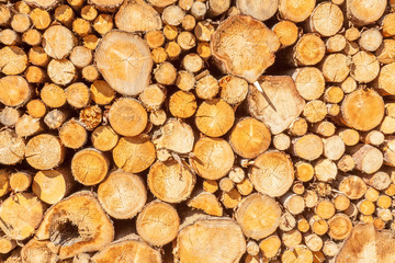  grumes de bois de chauffage 