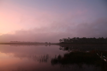 Fototapeta premium Nature pond landscape with sunrise morning mist beautiful background