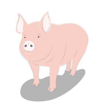 A funny picture of pig, a simple illustration.