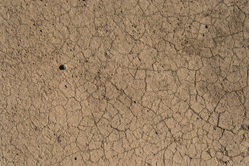 Dried and Cracked ground
