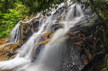 Beautiful tropical waterfall in lush surrounded by green forest.wet rock and moss