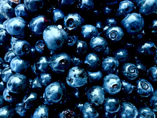 Fresh bilberry background texture. Blue background. wet berry. Beauty natural background for design or as a texture