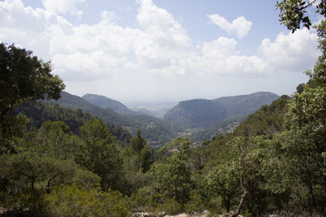 Obraz premium Port de Sóller