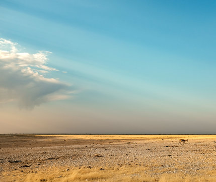 Sunrise Etosha Park Namibia