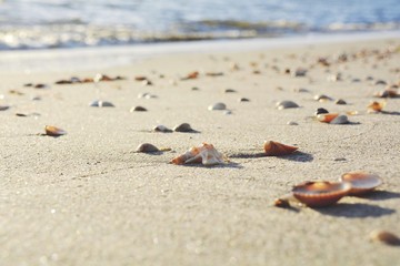 Grußkarte - Strandurlaub - Strand mit Muscheln © S.H.exclusiv