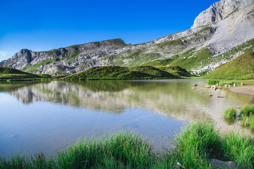 Fototapeta na wymiar Lac de Peyre