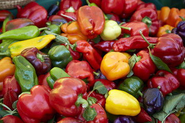 Paprika bunt frisch gesund Ernte rot orange