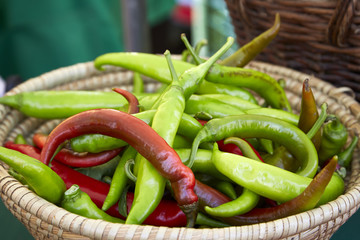 Chili Schoten scharf gesund rot grün Ernte