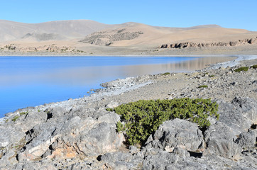 Tibet, Nam Tso lake in summer, 4718 meters above sea level