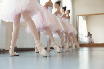 Group of young girls dancing ballet in studio