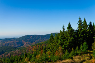 Herrliche Aussicht über den Schwarzwald