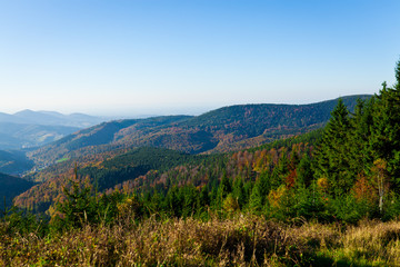 Fototapeta na wymiar Herrliche Aussicht über den Schwarzwald
