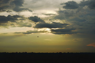 paddy field on sunset twilight sky background in Thailand countryside