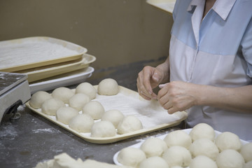 Manufacturer of pita bread