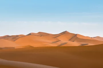Foto op Plexiglas Woestijnlandschap woestijn schemering landschap