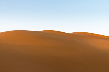 Fototapeta na wymiar golden sand dunes in sunset