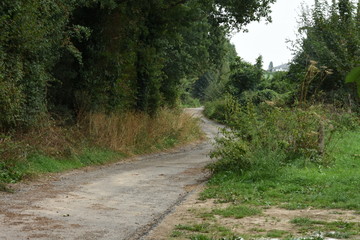 donker en laagliggend wandelpad in de heuvels van Zuid-Limburg