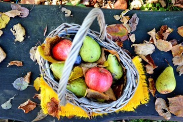Jesienny kosz owoców - obrazy, fototapety, plakaty