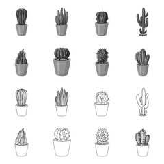 Vector design of cactus and pot logo. Set of cactus and cacti stock vector illustration.