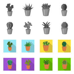 Vector design of cactus and pot icon. Collection of cactus and cacti stock vector illustration.