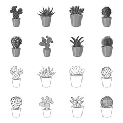 Vector illustration of cactus and pot symbol. Set of cactus and cacti stock symbol for web.