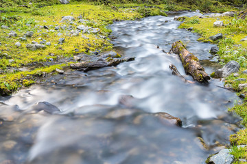 beautiful streams in the forest