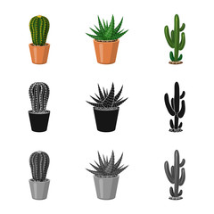 Isolated object of cactus and pot symbol. Collection of cactus and cacti vector icon for stock.