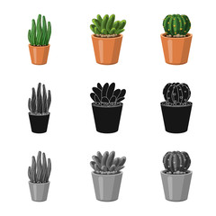 Isolated object of cactus and pot icon. Set of cactus and cacti stock symbol for web.