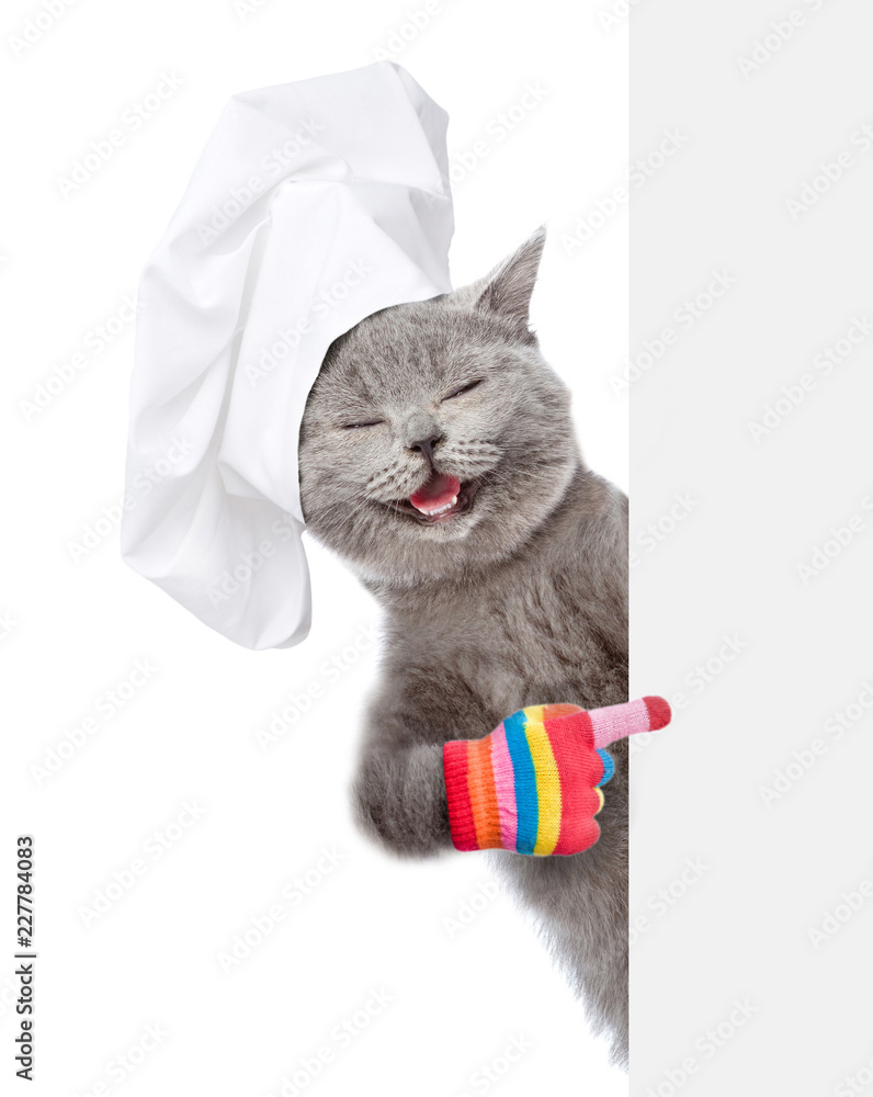 Aufkleber Happy kitten in chef's hat points on empty banner. isolated on white background