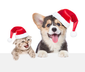 Kitten and corgi puppy with red christmas hats peeking over empty white board. isolated on white background. Space for text