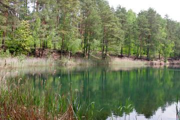 Obraz premium lake in the forest