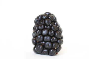 Blackberry on White Background 