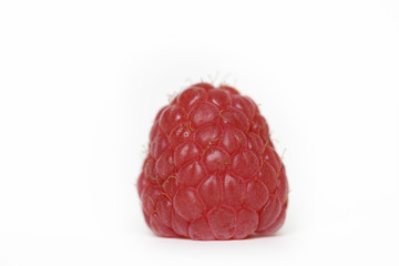 Raspberry on White Background 