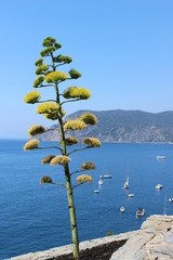 Bord de mer