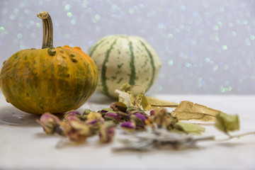 Colorful ornamental pumpkins and gourds isolated on marble background.