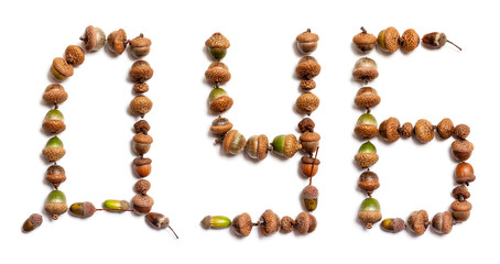 word oak is laid out of acorns