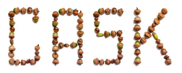 Word barrel out of acorns