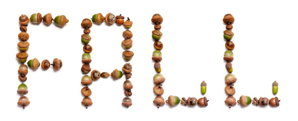 Word fall is laid out of acorns