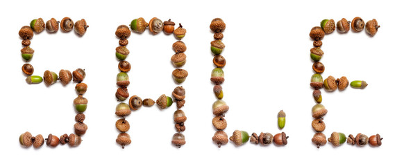 Word sale is laid out of acorns