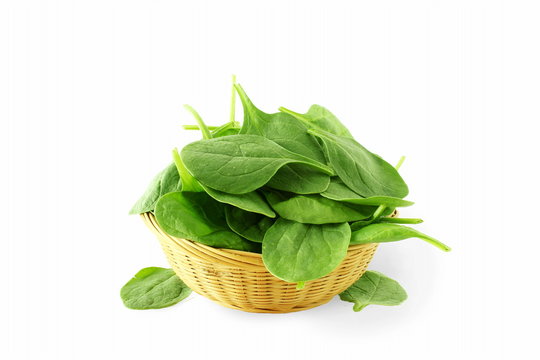 green spinach leaves isolated closeup in basket on white background