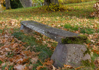 A small bench in the autumn