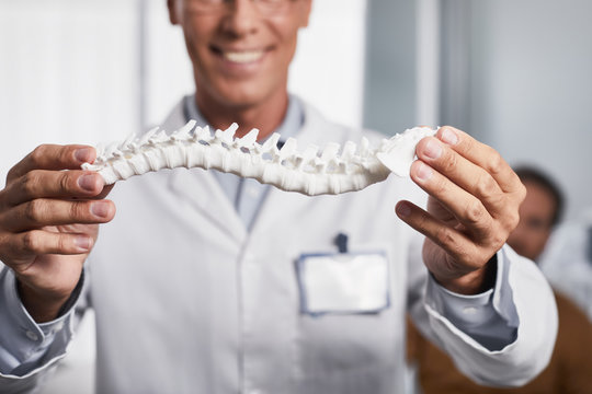 Close up of smiling doctor holding plastic sample of spine with male patient on background