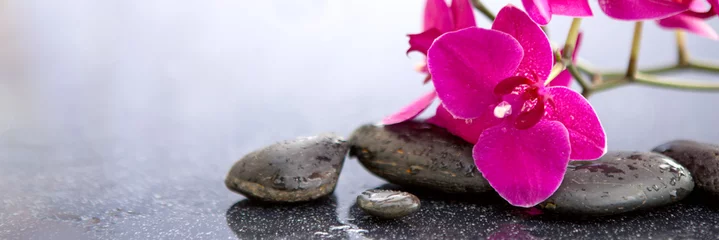 Printed roller blinds Pink orchids flowers and spa stones . Spa background.