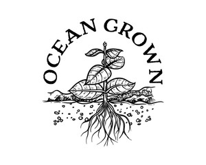 Vector Hand Drawn Ocean Growing Plant on the Water Wave Sign Symbol Company Logo Design Inspiration