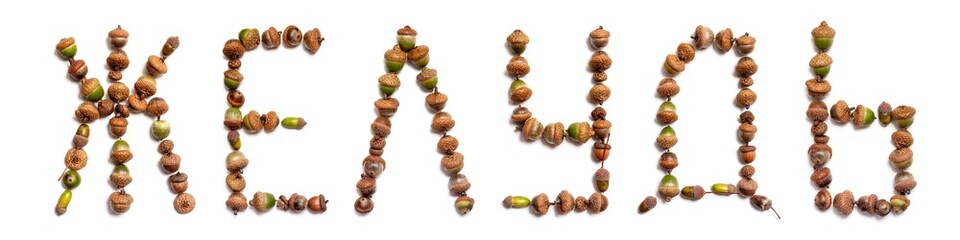 word acorn is laid out of acorns