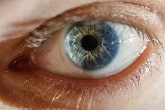 Blue man eye with contact lens, macro shot. Shallow depth of field.