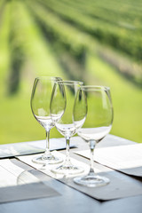 Wine Glasses at Winery